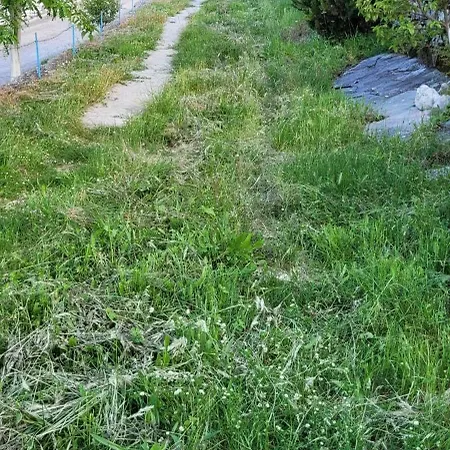 Recka Gjirokastër
