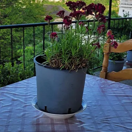 Apartamento Reçka Gjirokastër