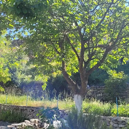 Appartement Recka Gjirokastër